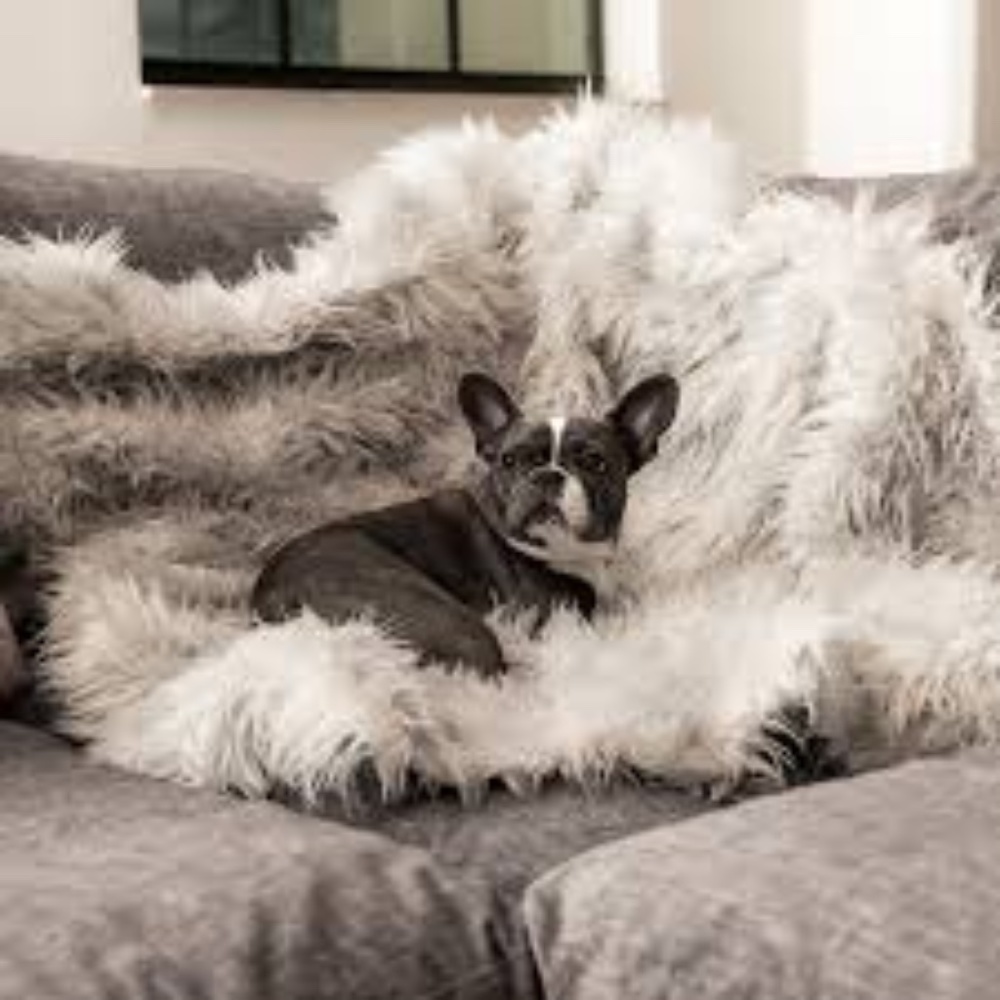 PAW Pup Protector Waterproof Blanket